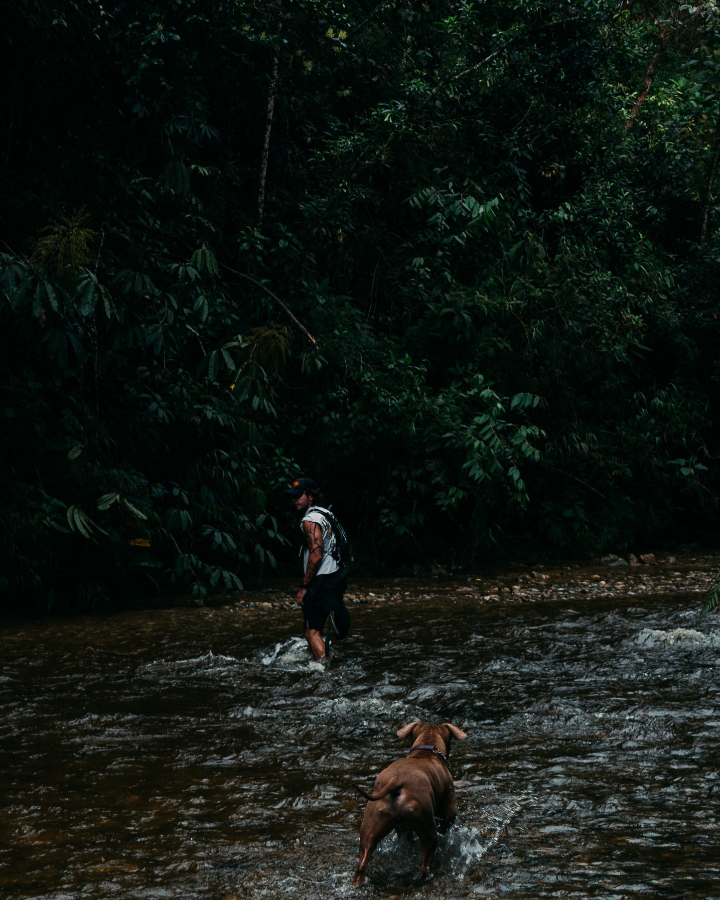 Paso del toro