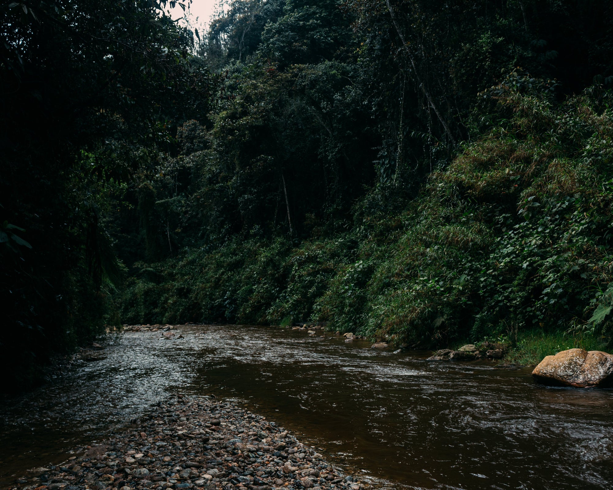 Paso del toro