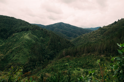 Paso del toro